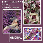 MIKIYA 91Pcs Purple Pressed Dried Flowers - Image 2