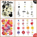 Tessera 160+ Pcs Real Pressed Flowers - Image 9