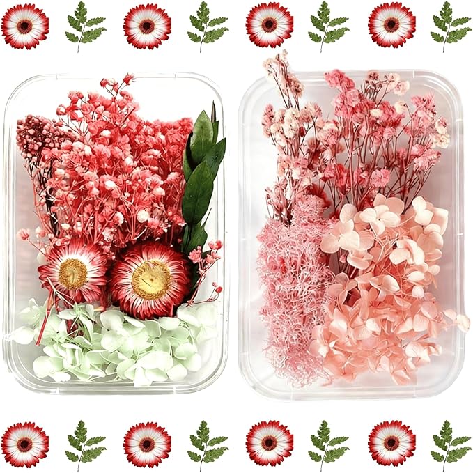 2PCS Dried Flowers Kit, Natural Dried Flowers Kit by Unknown