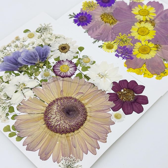 Woohome 44 PCS Real Pressed Flowers, Dry Leaves Natural Dried Pressed Leaves - Image 4