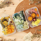 2PCS Dried Flowers Kit, Natural Dried Flowers Kit - Image 4