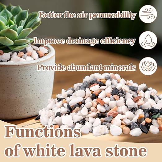 Sukh Mixed Color Pebbles for Succulent and Cactus - 420G 1/5 Inch Succulent - Image 3