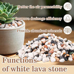 Sukh Mixed Color Pebbles for Succulent and Cactus - 420G 1/5 Inch Succulent - Image 3