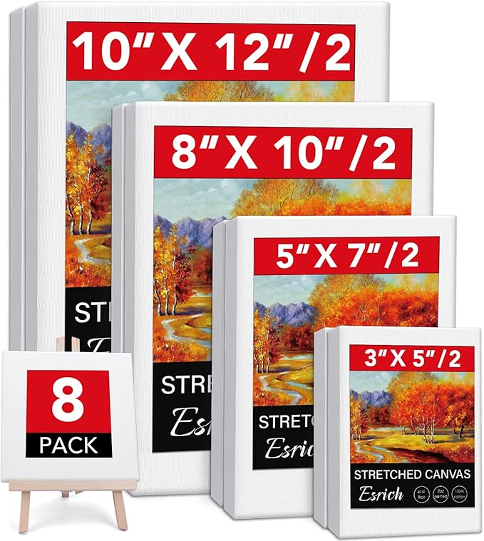 Stretched Canvases for Painting, Acid-Free Wood Frame Blank Canvas, Art Canvas by ESRICH