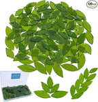 LITMIND 120 Pieces Olive Green Textured Transparent Mosaic Glass Petals & by LITMIND
