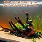 PINVNBY Large Driftwood for Aquarium Fish Tank Decorations Natural Assorted - Image 4
