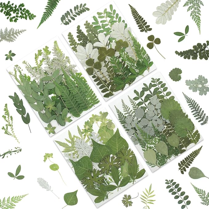 LUXEEASE 84P Earthy Green Dried Pressed Leaves | Fern eucalyptus leaves by LUXEEASE