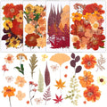 100 Pcs Fall Dried Pressed Flowers, Real Orange Dried Wildflowers Leave by Ovveroche