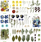 110Pcs Dried Flowers for Crafts, Pressed Flowers for Resin Molds - Image 3