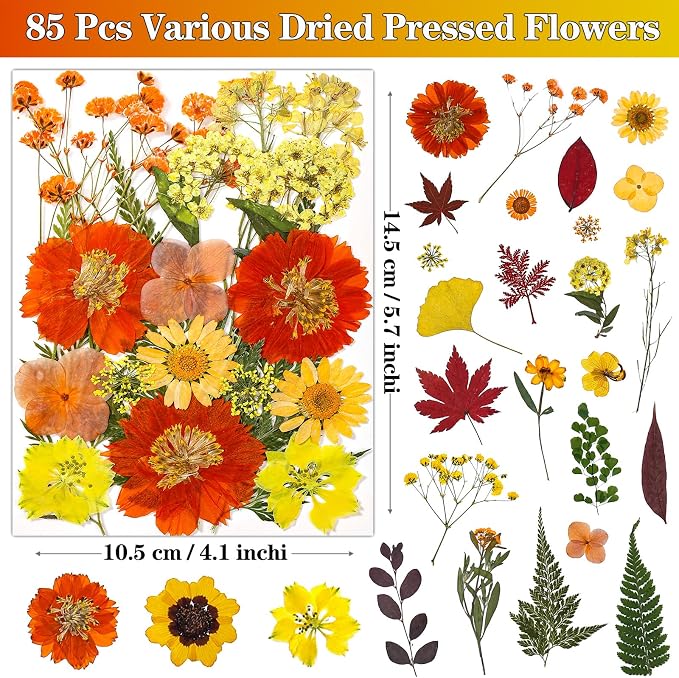 85Pcs Dried Flowers for Crafts, Natural Pressed Flowers for Crafts Real Dried - Image 3