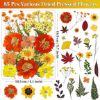 85Pcs Dried Flowers for Crafts, Natural Pressed Flowers for Crafts Real Dried - Image 3