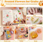 361 Pcs Pressed Dried Flowers - Image 6