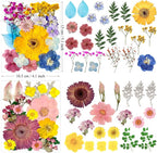 90Pcs Big Dried Pressed Flowers - Image 5