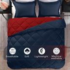 downluxe King Size Comforter Set - Image 5