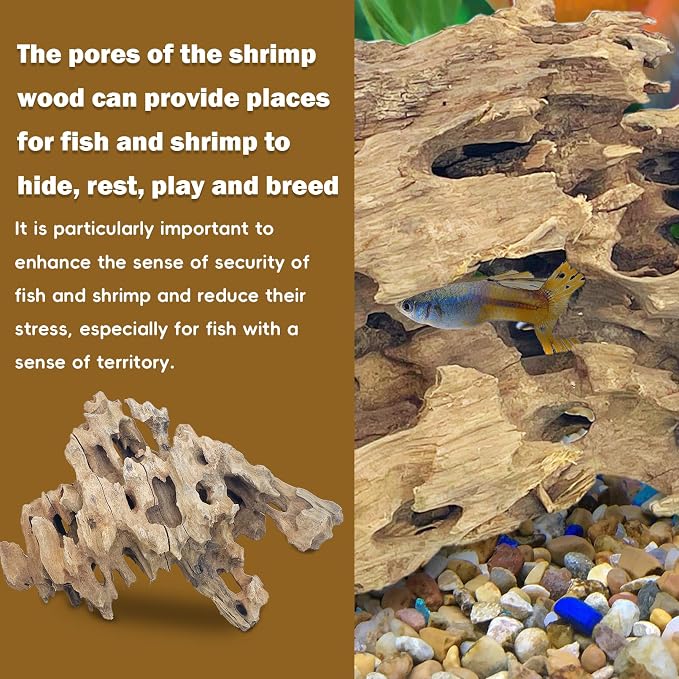 PINVNBY Natural Driftwood for Aquarium Large Reptile Terrarium Decor - Image 4