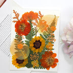 Dried Pressed Flowers Real Natural Petals Bulk Dried Leaves Plant - Image 6
