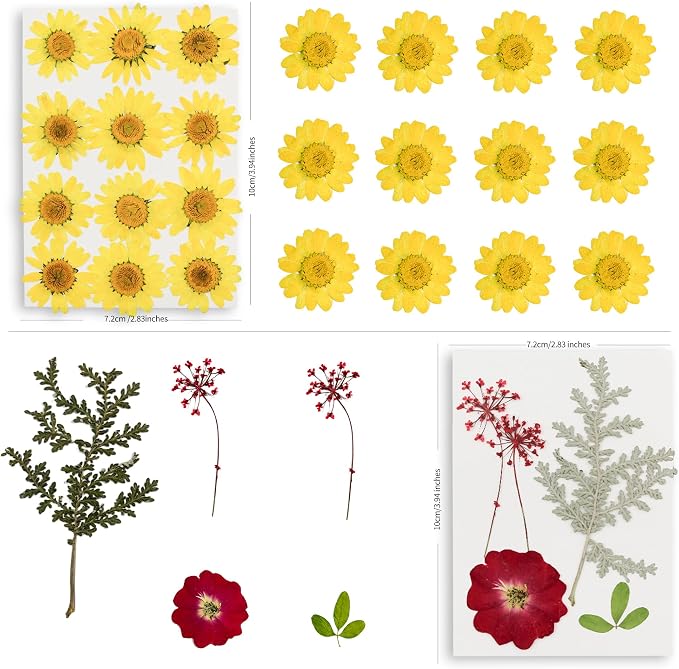 95PCS Dried Pressed Flowers for Crafts - Image 6