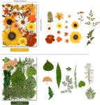150PCS Pressed Dried Flowers Dry Leaves - Image 5