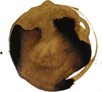 Liquitex Professional Acrylic Ink, 1-oz Jar, Transparent Raw Umber - Image 2