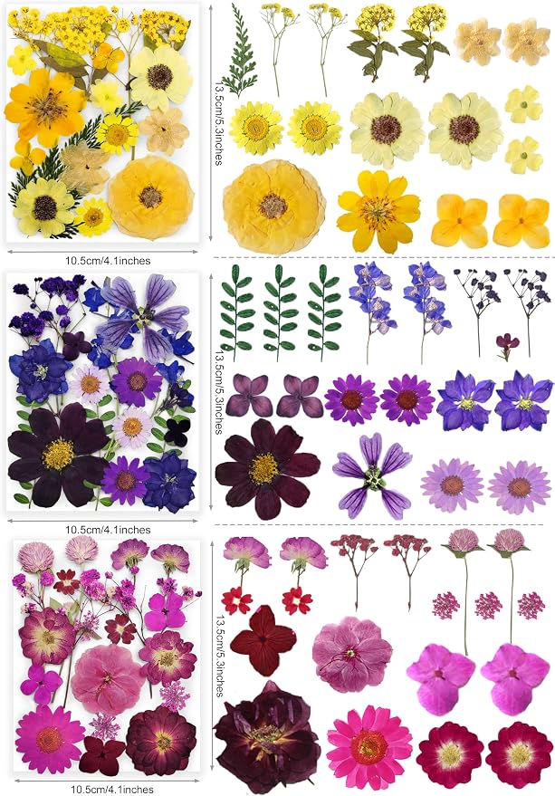 Bulk 410Pcs 11 Packs Mixed Real Natural Dried Pressed Flowers, Leaves & - Image 4