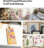 Dried Flowers, Resiners 58Pcs Pressed Flowers - Image 8