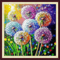 Fanxvivy Stamped Counted Cross Stitch Kits by Fanxvivy