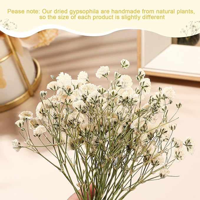 Tinideya 100 Pcs Dried Babys Breath Flowers Bulk Babys Breath Real Pressed - Image 3