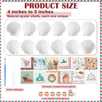 Halloscume 12 Set Christmas Scallop Shells - Image 2