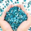 QICQDRAM Crushed Shells for Crafts About 1LB Small Natural Crushed Shells Bulk by QICQDRAM