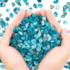 QICQDRAM Crushed Shells for Crafts About 1LB Small Natural Crushed Shells Bulk by QICQDRAM