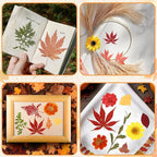 Augshy Fall Dried Pressed Flowers Orange Pressed Fall Leaves - Image 7