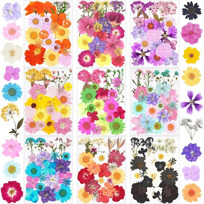 190Pcs Dried Pressed Flowers for Crafts, Xinxinran Dry Flower Kit for Resin by Unknown