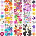 190Pcs Dried Pressed Flowers for Crafts, Xinxinran Dry Flower Kit for Resin by Unknown