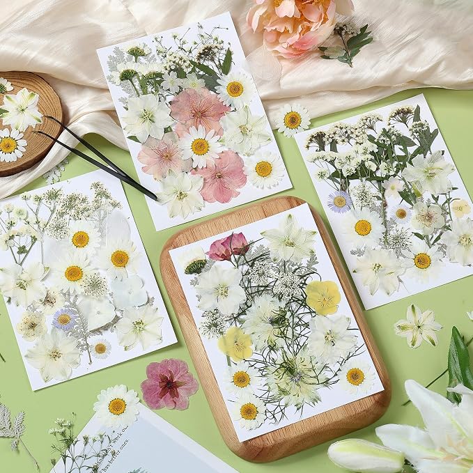86Pcs Dried Flowers for Crafts, Real Pressed Flowers for Crafts Dried Pressed - Image 2