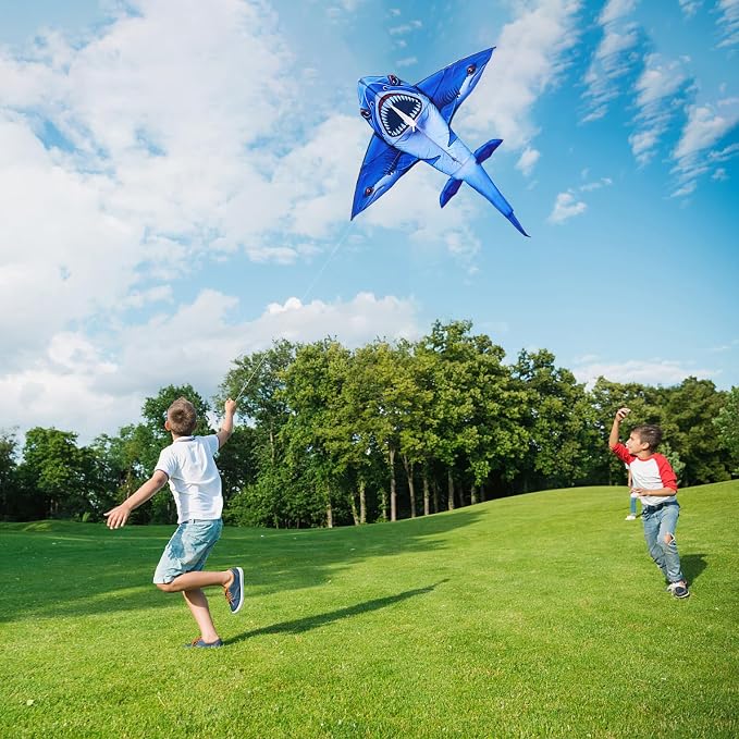 SGftre Complete Kite with Handle, Line & Accessories, Family Outdoor Activities - Image 6