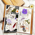 Dried Pressed Flowers Real Pressed Flowers Natural Dry Leaves Bulk Mixed - Image 6