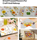Dried Pressed Flowers, Resiners Dried Flowers - Image 2