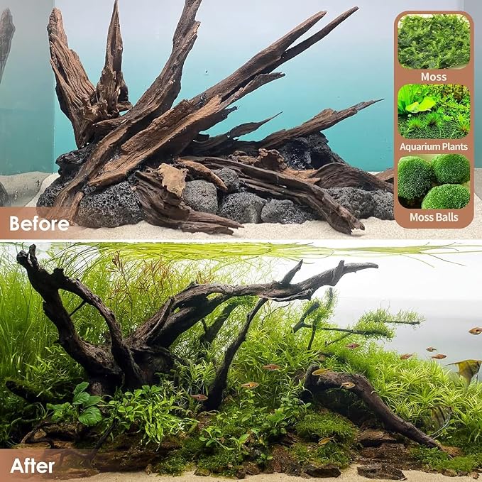 Jorewood Natural Small Aquarium Driftwood - Image 7