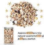 1200 PCS Natural Seashells, Joyfulmap Tiny sea Shells & Small Starfish - Image 2