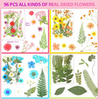96Pcs Dried Pressed Flowers for Resin, Bulk Natural Dried Flowers, for - Image 6