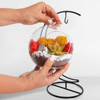 Creations by Nathalie DIY 5" DIY Globe Terrarium Kit - Image 5
