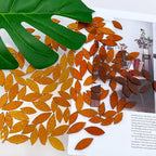 LITMIND 120 Pieces Brown Textured Transparent Mosaic Glass Petals & Leaves in 2 - Image 4