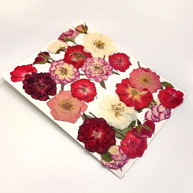 Rose Pressed Flowers for Crafts, TrendCart Real Natural Dry Pressed Flowers for - Image 2