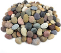 FANTIAN 20 lbs River Rocks for Plants, 1-2 Inch Decorative Pebbles Stones for by FANTIAN-GardeningMakesLifeBetter