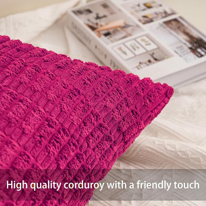 Aegero Pack of 2 Corduroy Decorative Throw Pillow Covers 22x22 Inch Soft - Image 2