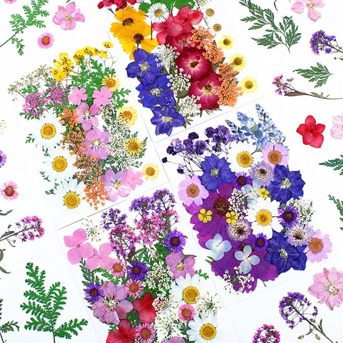 35Pcs Dried Pressed Flowers for Resin DIY Art Crafts Natural Dry Floral Daisy - Image 4