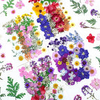 35Pcs Dried Pressed Flowers for Resin DIY Art Crafts Natural Dry Floral Daisy - Image 4