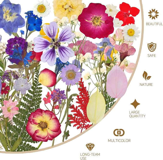150 Pcs Dried Pressed Flowers for Resin | Real Nature Dried Flowers for Crafts - Image 2