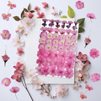 51 Pcs Real Natural Cherry Blossom Dried Pressed Flowers - Image 3
