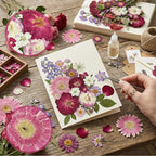 Dried Pressed Flowers for Resin | Real Pressed Flowers Dry Leaves Bulk Natural - Image 6